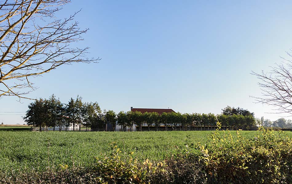 Vakantieboerderij De Finesse ligt midden tussen de velden in de Westhoek