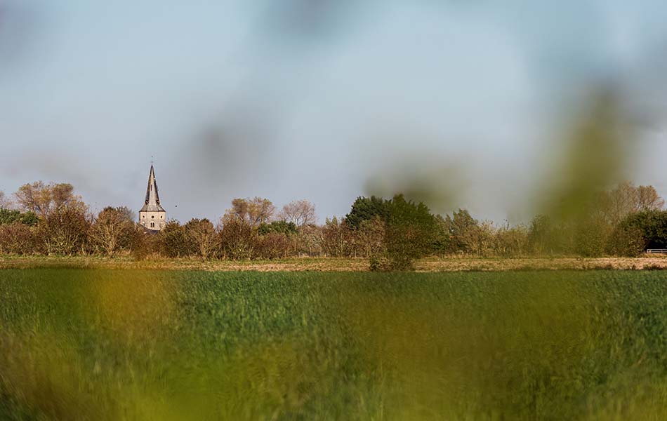 Zicht vanuit de velden op de toren van de Sint-Gertrudiskerk van Bovekerke-Koekelare