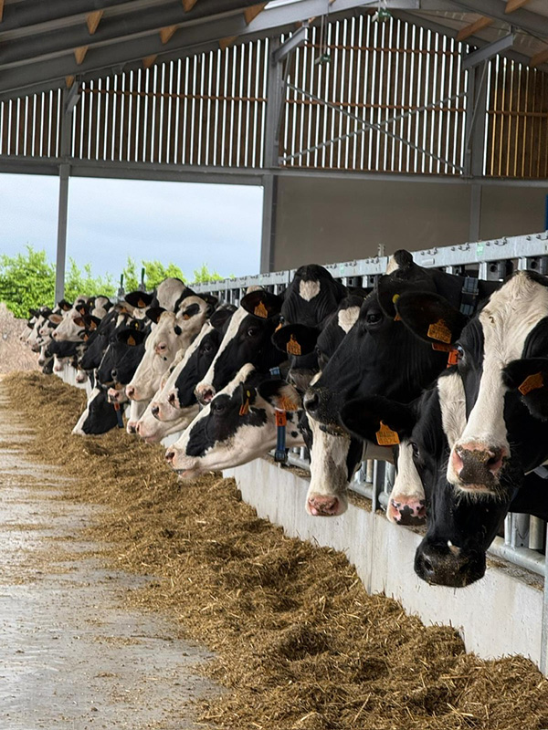 Vakantieboerderij De Finesse ligt midden tussen de velden in de Westhoek